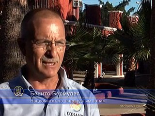 В Мексике спасли заблудившегося китёнка