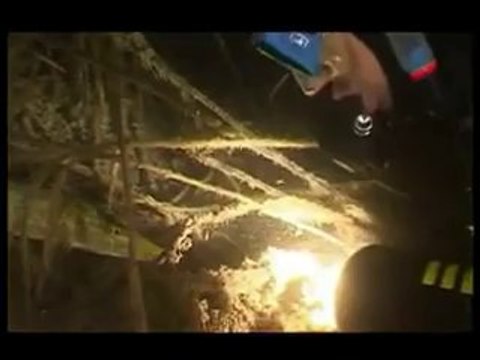 Kursy Nurkowania , Nauka Nurkowania , Centrum Nurkowe w Gdańsku - Turkus