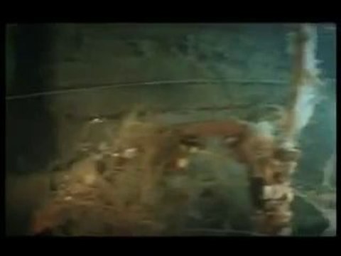 Kursy Nurkowania , Nauka Nurkowania , Centrum Nurkowe w Gdańsku - Ubot