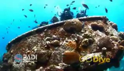 Kursy Nurkowania Argonaut PADI Gdańsk Reklama 3