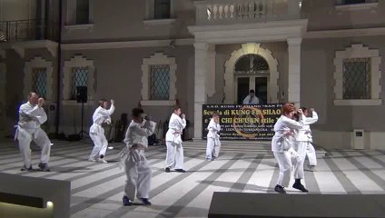 CHIN NA+LIEN PU CH'UAN+MEI HUA