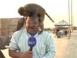 Funniest Pakistani News Reporter Ever
