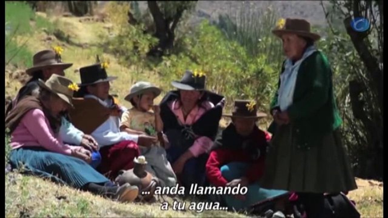 Cine | Estrenos: "Mandela" y "El lobo de Wall Street" protagonizan los estrenos de la semana