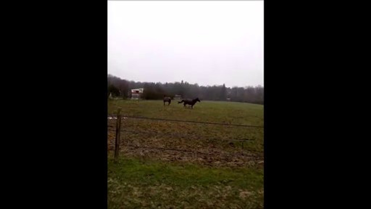 VID_20140125_170114.malinka