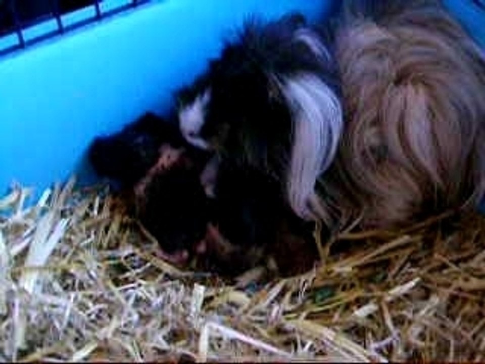 naissance bébés
