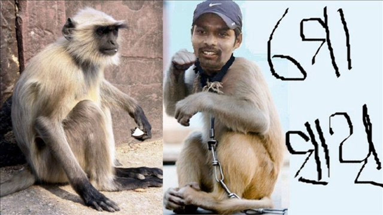 natraj behera ranji cricketer orissa cricket team  monkey man (13)