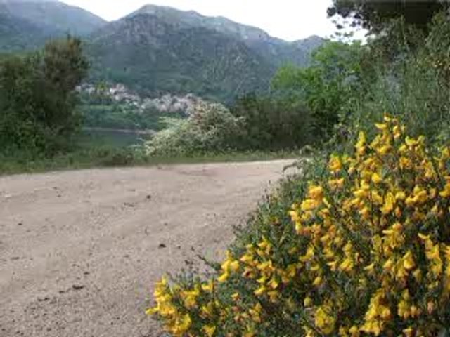 essai Nissan Pathfinder Plaza