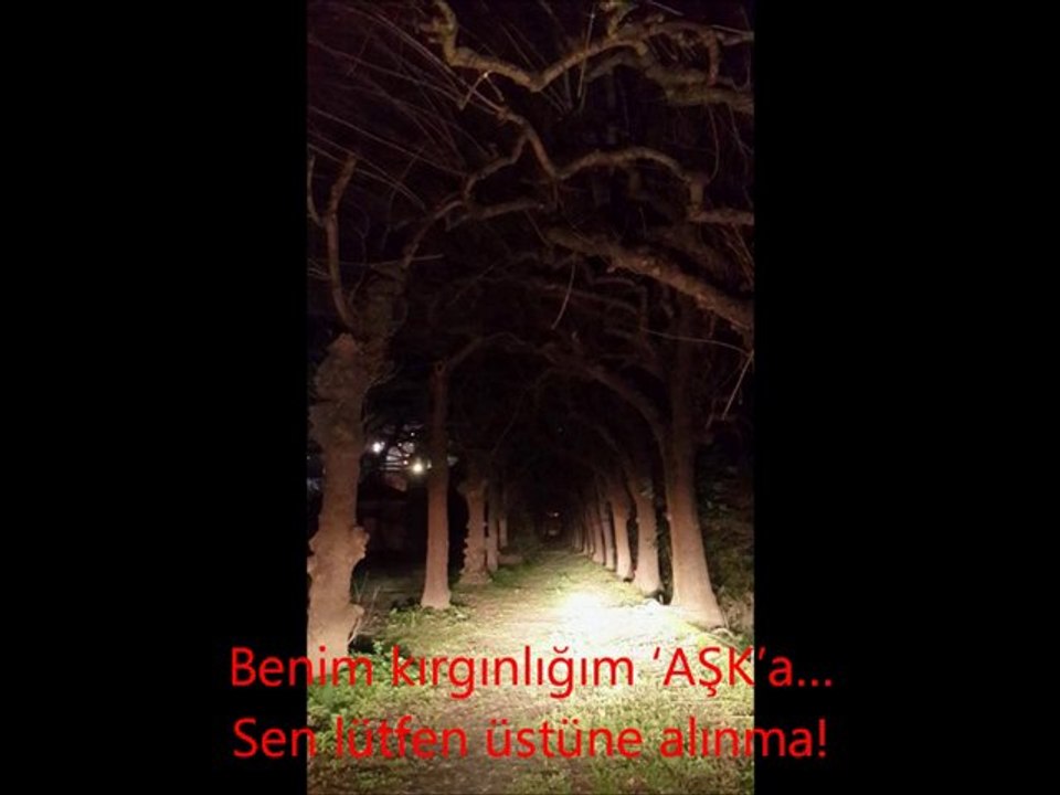 Sen lütfen üstüne alınma