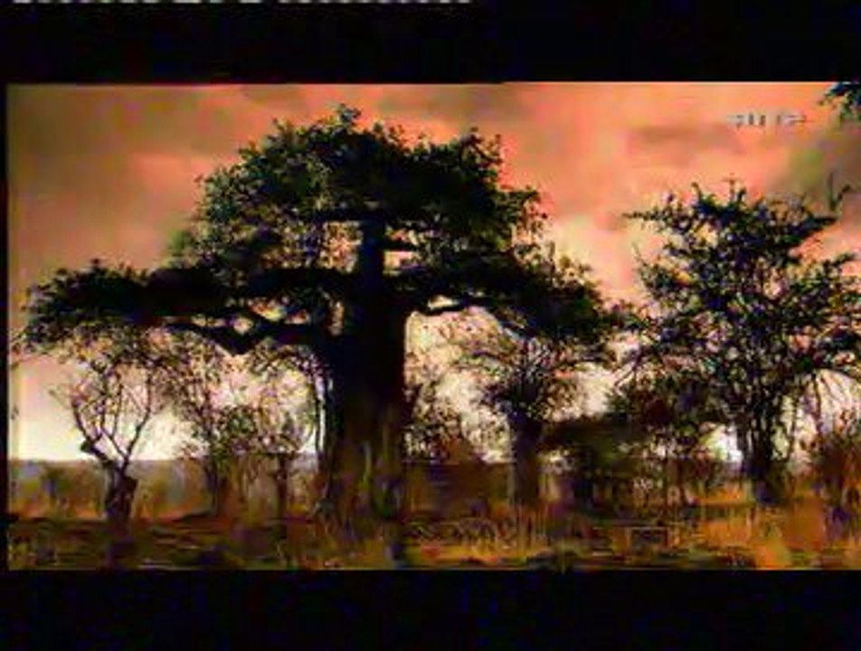 Théorie du Genre [La vérité]