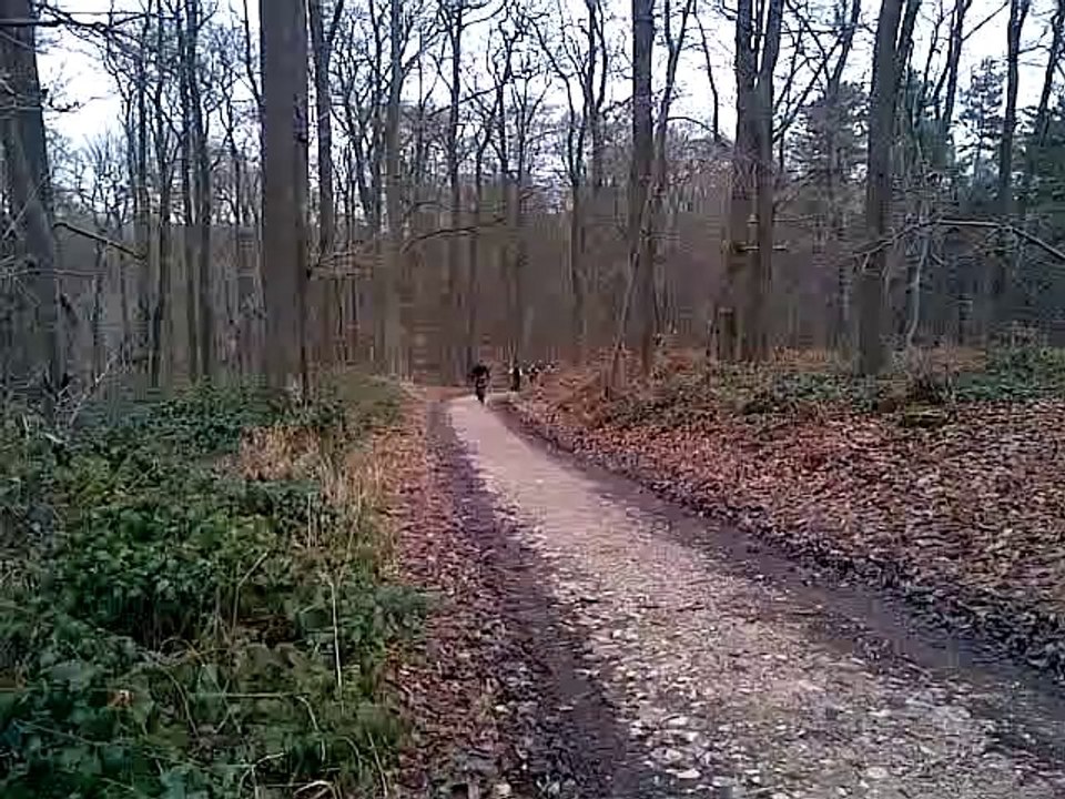 Rando VTT du 26/01/2014