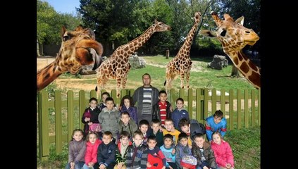 DARICA HAYANAT BAHÇESİ GEZİSİ GEZELİM GÖRELİM ÖĞRENELİM ELTATUR  ( ÇAMLIK İLKOKULU)