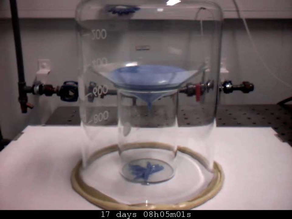 Ecoulement de Silly Putty à travers un petit trou