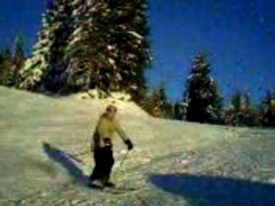 Ski double back