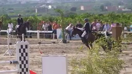 EGEO DEL ARA ANTONIO FUENTES ORO INFANTIL 2013