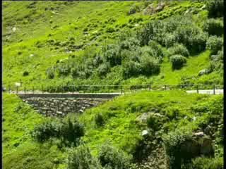 Essai Mercedes Classe S