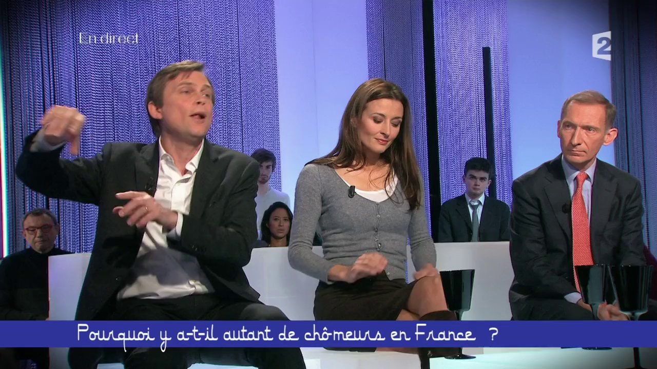 Pourquoi y-t-il autant de chômeurs en France ? (3/3) Ce soir (ou jamais!) - 31/01/2014
