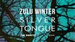 Zulu Winter - Silver Tongue (THE DARCYS Remix)