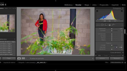 Intensidad vs Saturación - Tutorial Lightroom