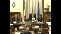 Roma - Audizione rappresentanti Confindustria (11.12.13)
