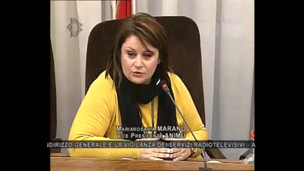 Roma - Audizione rappresentanti ANIMU (10.12.13)