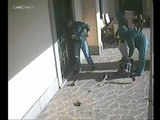 Viterbo - Tentato furto in Villa - Gli scassinatori in azione (20.12.13)