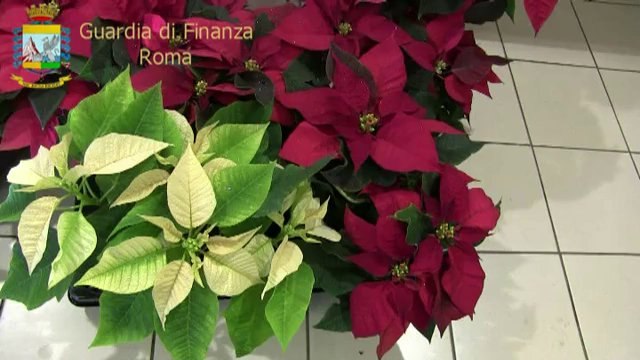 Roma - Lotta al crimine organizzato (16.12.13)