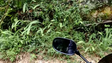 Taiwanese Aboriginal Village