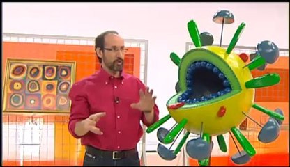 TV3 - Quequicom clips - Estructura del virus de la grip