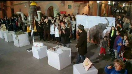 TV3 - Divendres - El mamut de Viladecans