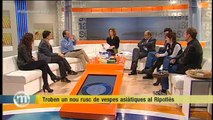 TV3 - Els Matins - Polèmica sobre el canal Segarra-Garrigues