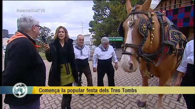TV3 - Els Matins - Comença la popular festa dels Tres Tombs