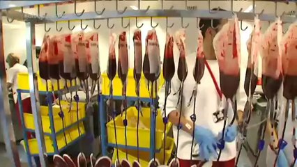 TV3 - Els Matins - És important donar sang assíduament perquè caduca