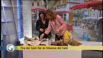 TV3 - Els Matins - Fira del Camí Ral de Vilanova del Camí