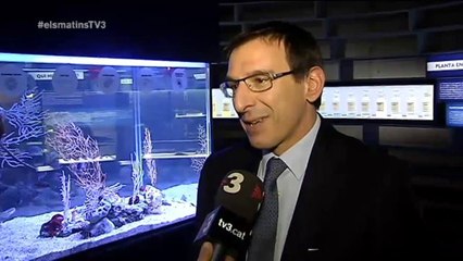 TV3 - Els Matins - La sostenibilitat de la Mediterrània està en perill?