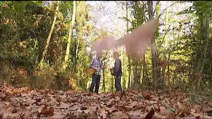 Espai Terra. dimarts 10 de desembre