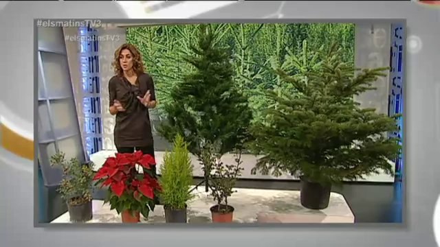 TV3 - Els Matins - Nens, digueu paraulotes, arribareu a ministres d'Espanya