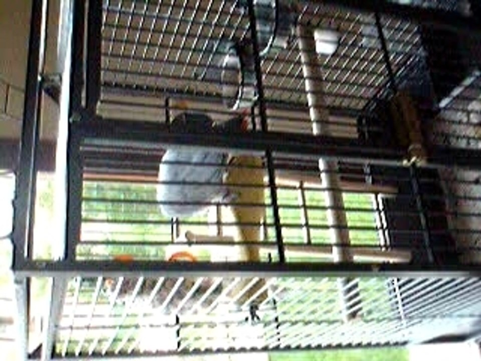 Video3
