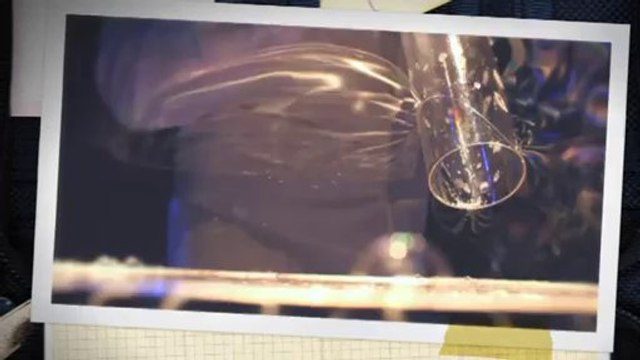 TV3 - 33 recomana - Pep Bou. Bombollavà. Teatre Lliure. Montjuïc