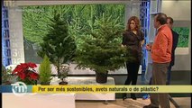 TV3 - Els Matins - La Fira d'Espinelves i els avets de Nadal: naturals o de plàstic?