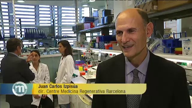 TV3 - Els Matins - Les notícies del dia (18/11/13)