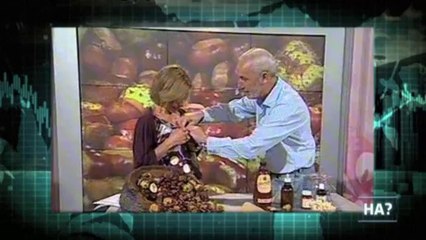 TV3 - Alguna pregunta més - L'Homo APM, castanyer