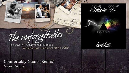 Music Factory Comfortably Numb Remix Video Dailymotion