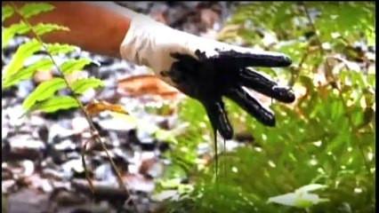 TV3 - Món 324 - Egipte, entre el dogmatisme islamista i la tutela militar