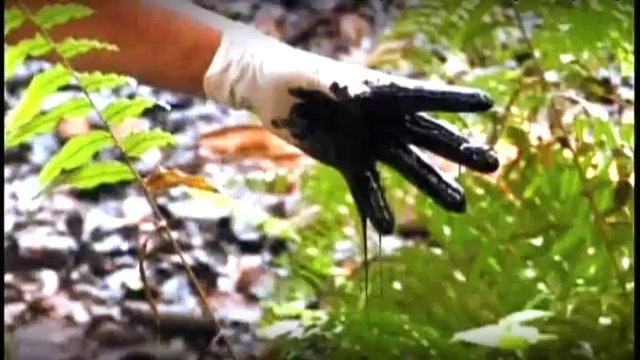 TV3 - Món 324 - L'Equador, David contra Goliat en política internacional