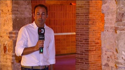 TV3 - Telenotícies migdia - La importància de parlar bé en públic