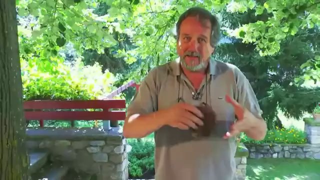 TV3 - Caçadors de bolets - Caçadors de bolets - capítol 94