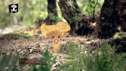 TV3 - Caçadors de Bolets - Els humans