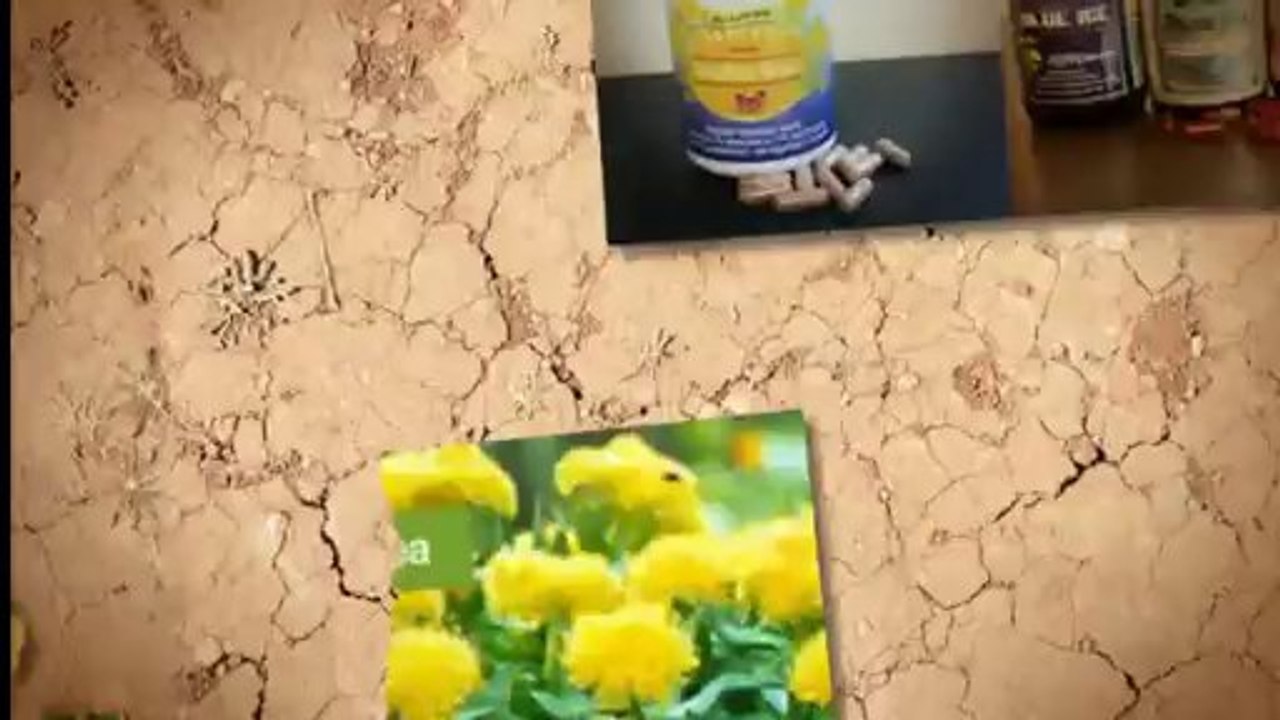 Buy Rhodiola - Energy Boosting Supplement