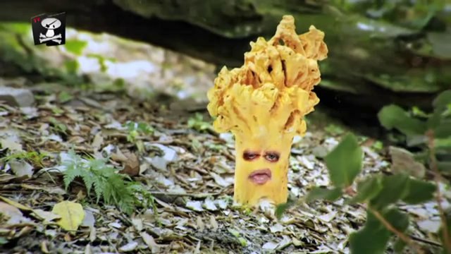 TV3 - Caçadors de bolets - Caçadors de bolets - capítol 91