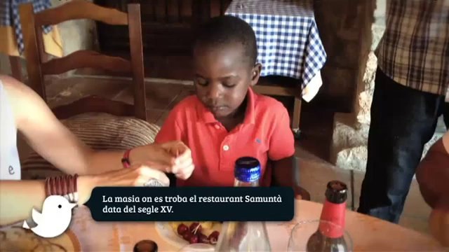 TV3 - Un Dia Perfecte en Família per Catalunya - Un Dia Perfecte en Família per Catalunya - capí